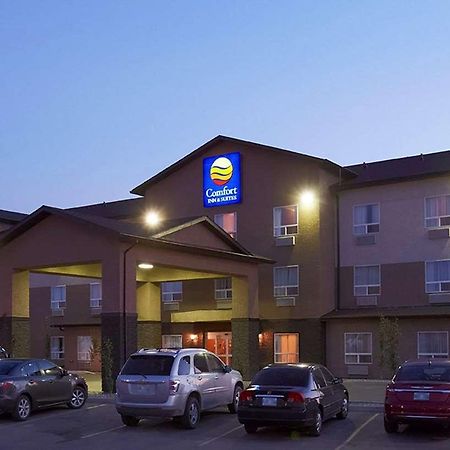 Comfort Inn & Suites Virden Exterior foto