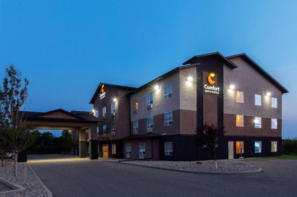 Comfort Inn & Suites Virden Exterior foto